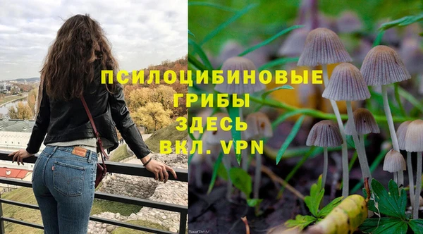 ПСИЛОЦИБИНОВЫЕ ГРИБЫ Наволоки