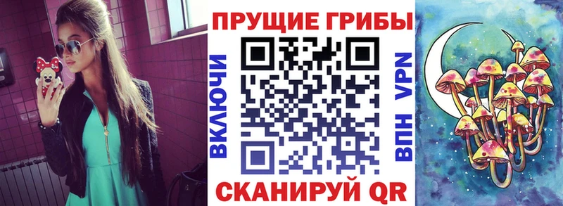 сайты даркнета как зайти Няндома Псилоцибиновые грибы MAGIC MUSHROOMS